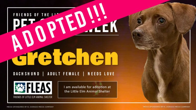 potw-screen-gretchen-adopted