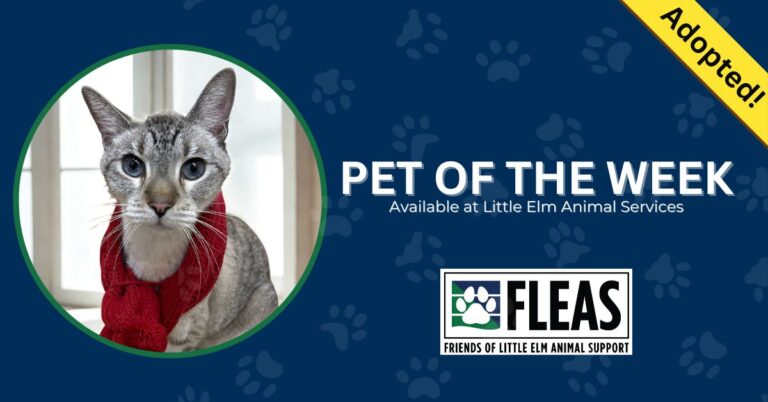 POTW Fredrick Adopted