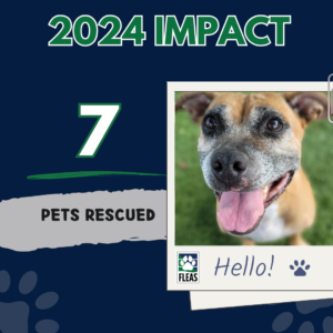 Infographic showing 7 pets rescued in 2024, including a picture of a tan and white pit bull