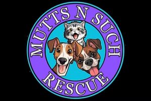 Mutts n Such Rescue logo