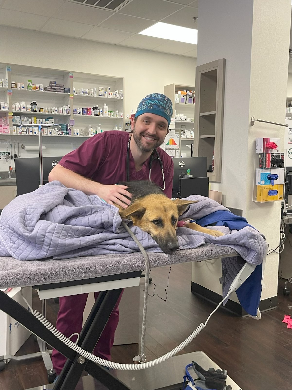 Elda on a stretcher upon arrival at Atlas Pet Vets being comforted by Dr. Anthony.
