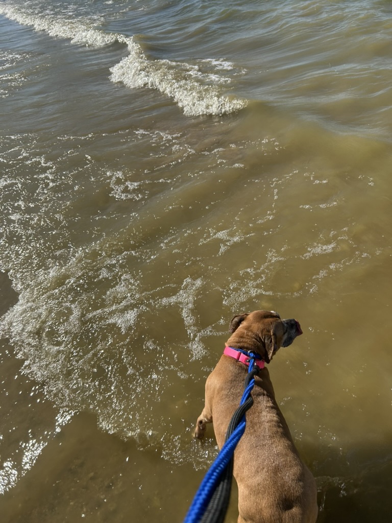 Fran playing in lake