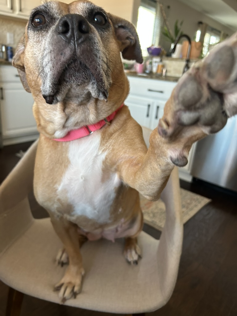 Fran_HighFive