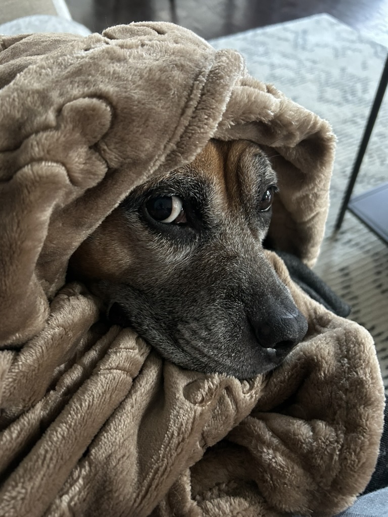 Fran_Snuggle_Blanket