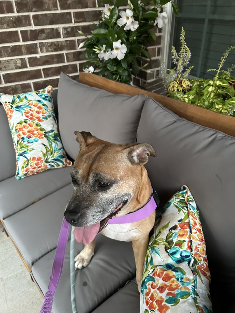 Fran_couch