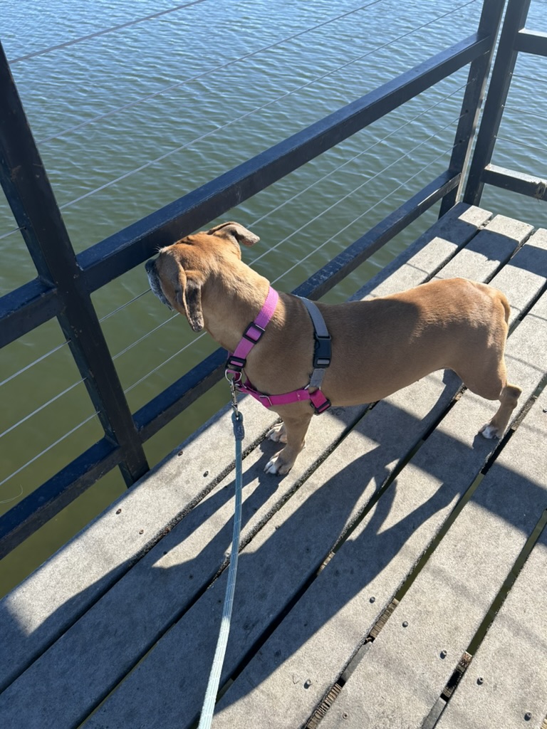 Fran_lake