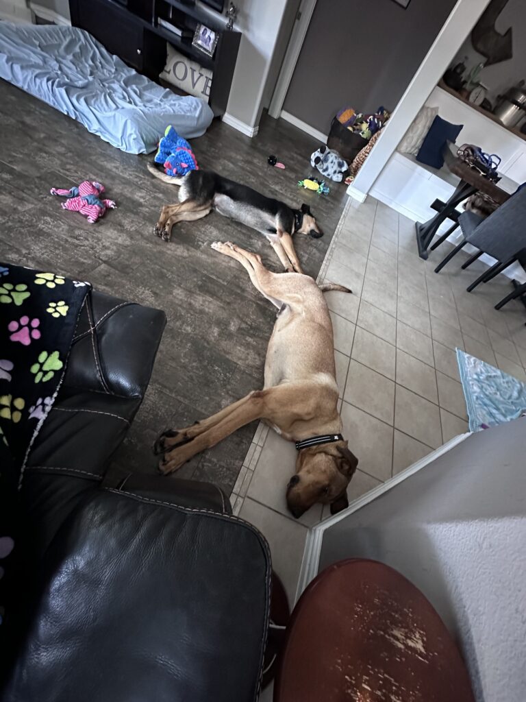 Rudolph on floor 2