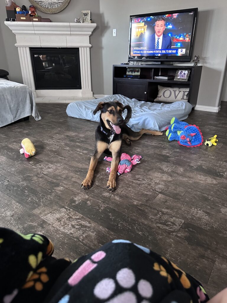 Taco on floor